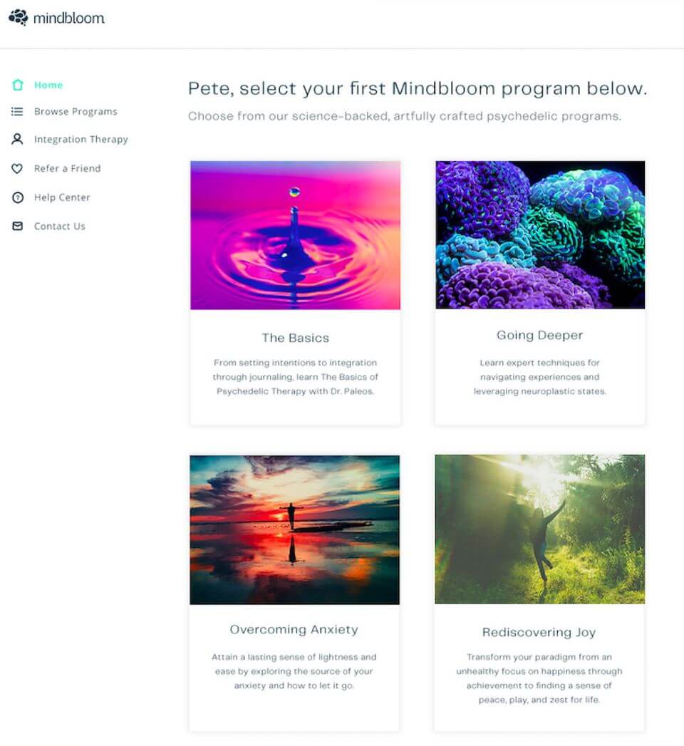 Mindbloom web app